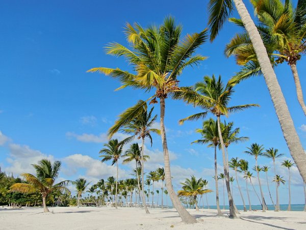 How Can You Experience Traditional UK Cuisine?